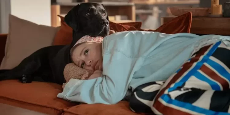 Mayıs 2024’te İzlenebilecek Dizi Önerileri