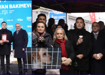 ESPRESSOLAB SAHİPSİZ HAYVAN BAKIMEVİ’ BEYOĞLU’NDA HİZMETE AÇILDI